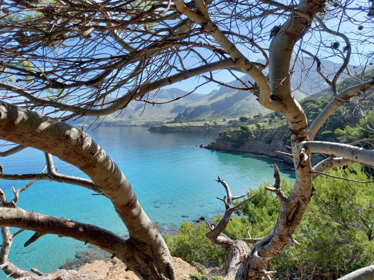 El Nido De Betlem Lägenhet Colonia de Sant Pere Exteriör bild